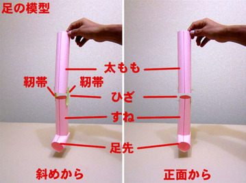つま先が外向くと、膝を「ひねる」からダメ!