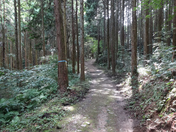 矢田丘陵-1
