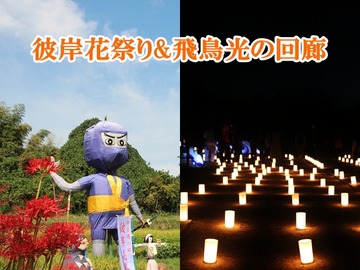 彼岸花祭り2018