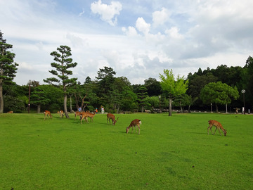 3-DSC00073-2