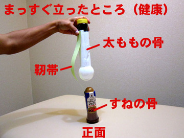 IMG_2457　●　健康