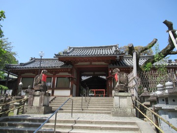 1-IMG_4302