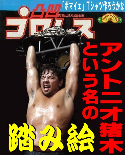 煌秋の ストロングスタイル 模索運動 アントニオ猪木 という名の踏み絵 凸凹プロレス 煌秋の ストロングスタイル 模索運動 アントニオ猪木 という名の踏み絵 凸凹プロレス