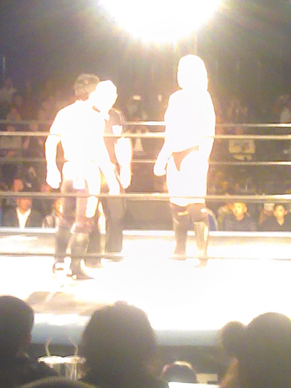 凸凹プロレス 凸凹プロレス