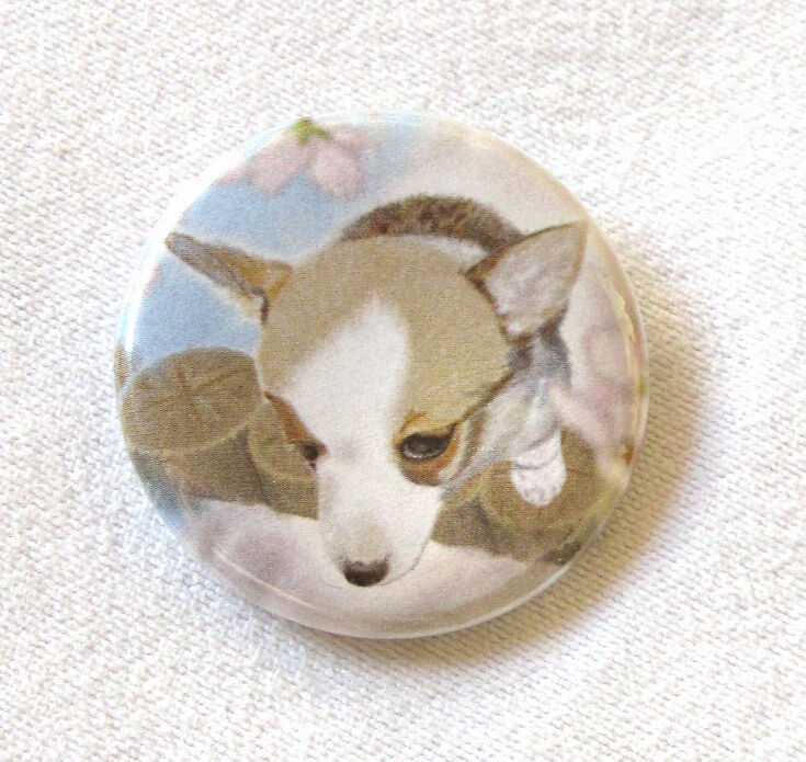 sachi