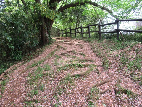 極上の小道