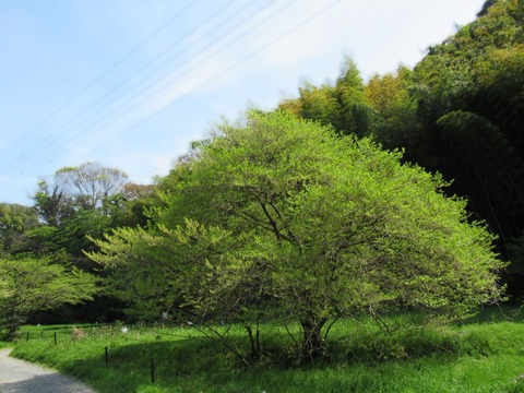 谷戸入り口