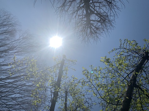 A7607D02-82EE-45A7-AE1F-83B0B1186F8D