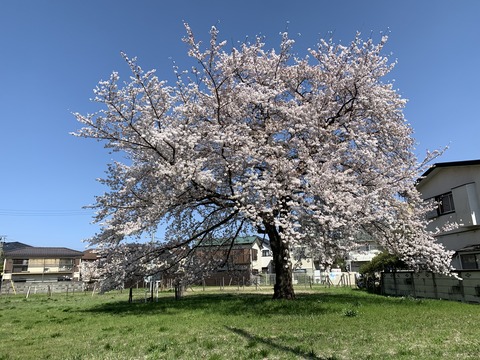 F9003EA4-80C8-42BC-BAB4-F82C55EEAA0A