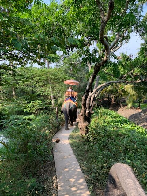 1D77542C-FBE6-4CBB-AFD0-5D1931E90CEC