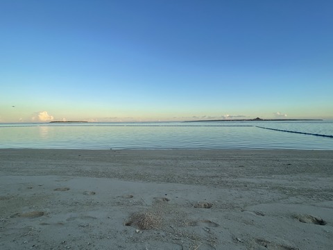 86E88FC5-22EF-4A03-87BA-AD4559074C69