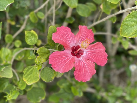 BE9433F9-CC24-49FD-8189-420BFF6D50E7