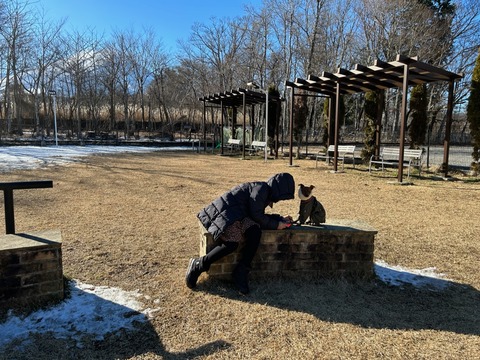 ED7B07E8-67A6-4154-9972-863CACCCCA44