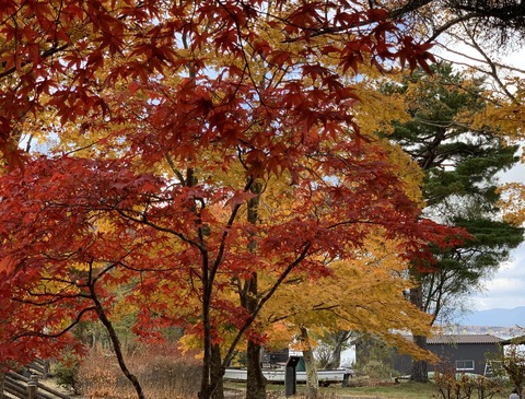 61332C2F-8AD9-4CC1-B41B-F3C35029E35A