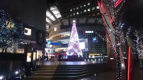 DSC_0037