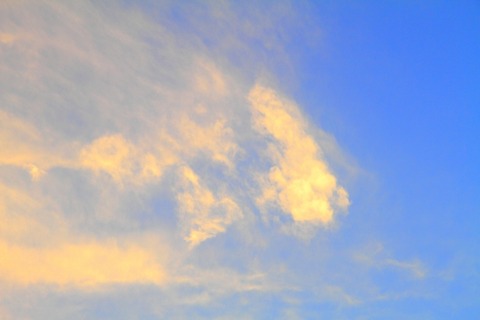 1206577_s