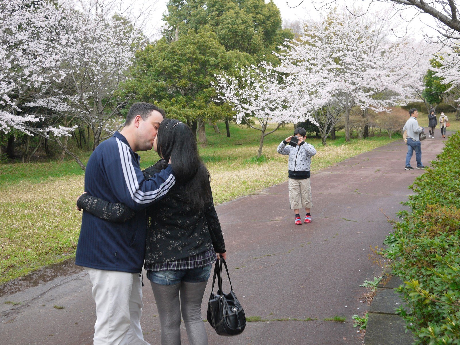 曇りのち一時雨 のち曇り 縁側日記 曇りのち一時雨 のち曇り 縁側日記