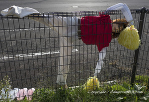 案山子 恵那市岩村町