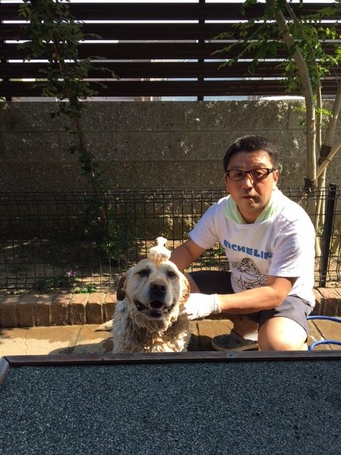 イメージ 3