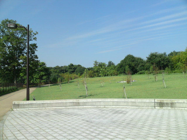 イメージ 3