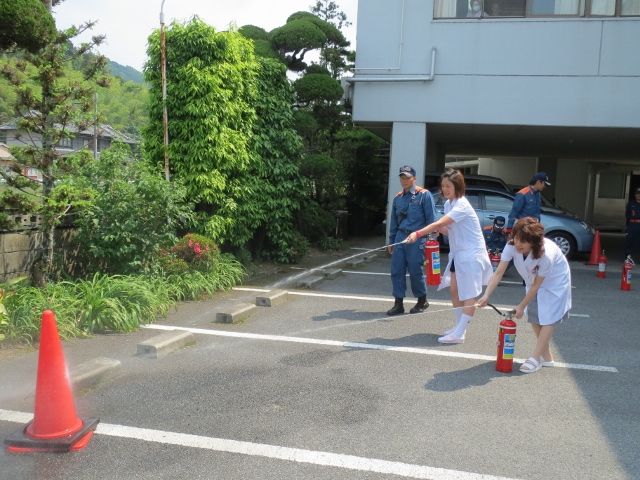 イメージ 6