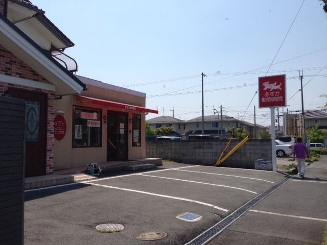 イメージ 2