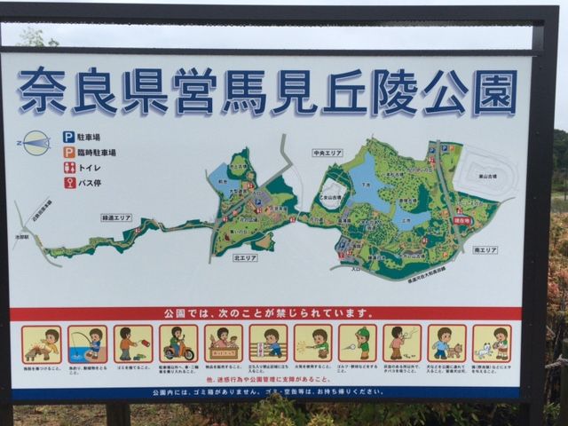 イメージ 3