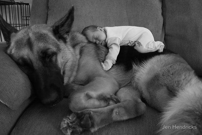 ベストフレンド 大型犬と人間の子供のなかよし写真22枚 えのげ