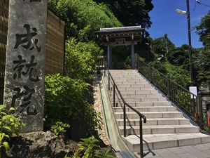 IMG_8835