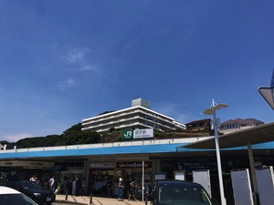 IMG_8874