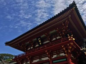 IMG_8784