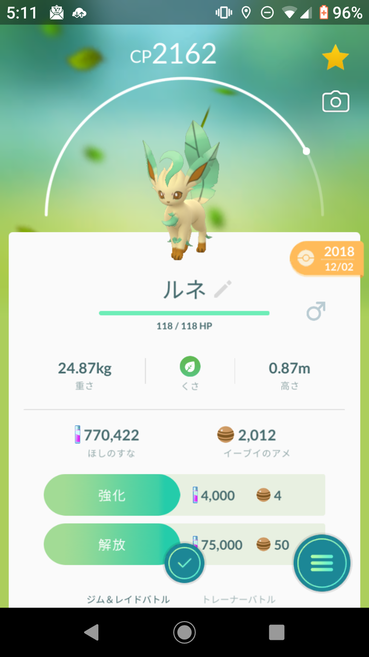 ポケモンgo ルネ 米と麺