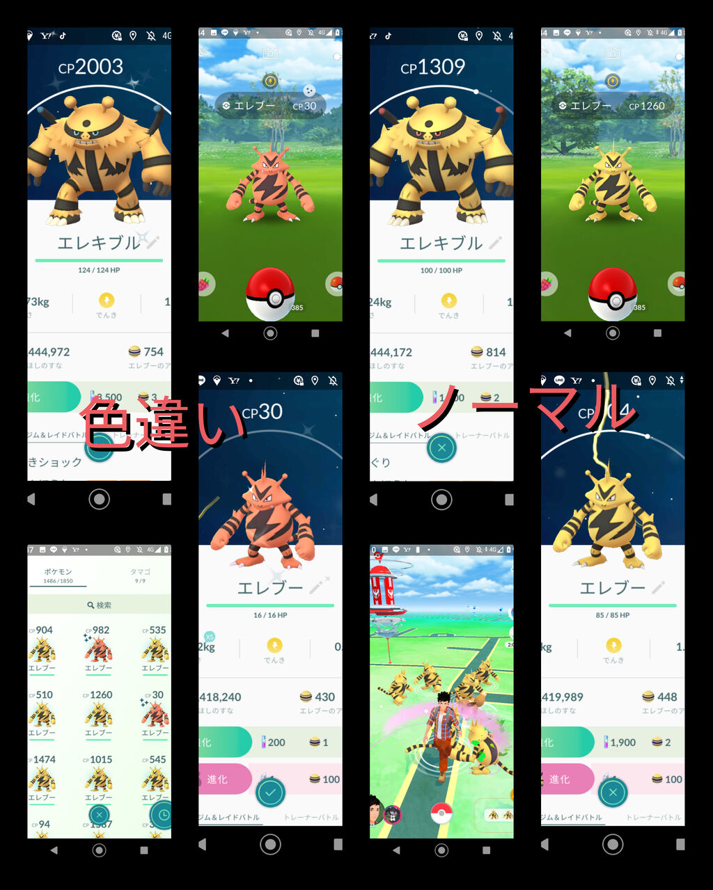 ポケモンgo コミュニティデイ エレブー 11 15 米と麺 ポケモンgo コミュニティデイ エレブー 11 15 米と麺