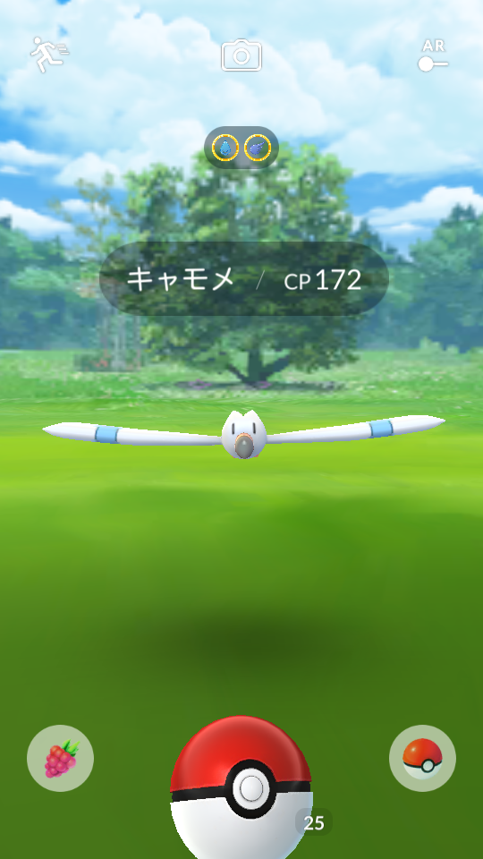 ポケモンgo 本日の収穫 ボスゴドラ キャモメ ダンバル ネンドール タツベイ オオスバメ 米と麺