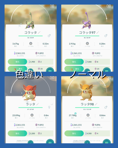 ポケモンgo コラッタ ラッタ 色違い 米と麺 ポケモンgo コラッタ ラッタ 色違い 米と麺