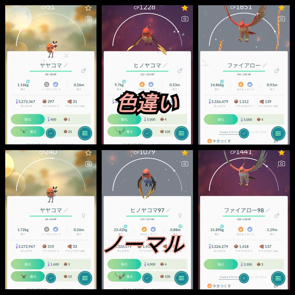ポケモンgo ヤヤコマ コミュニティデイ 21 3 6 米と麺