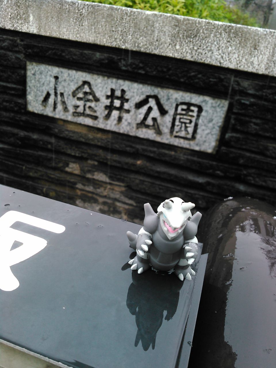 ポケモンgo ポケ活 In 小金井公園 米と麺