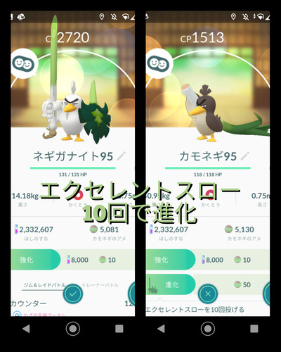 ポケモンgo カモネギ ネギガナイト 米と麺