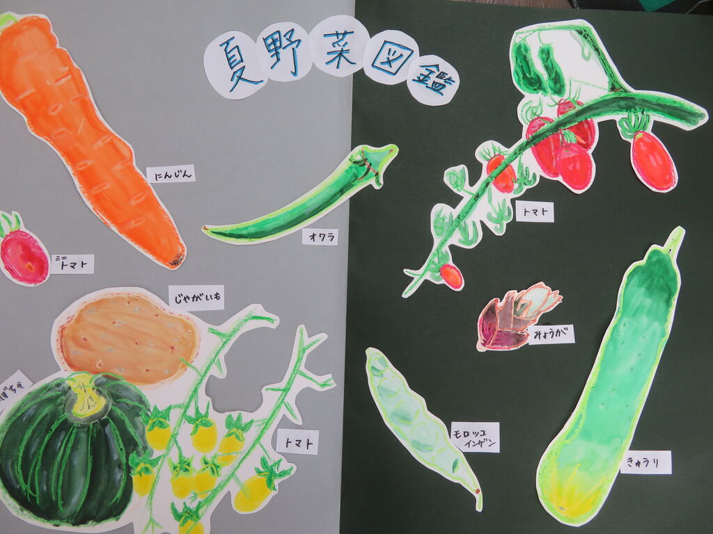 夏野菜図鑑 を作る 3年 6年生 アトリエ村絵の会