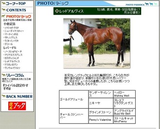 �����ʎʎ�11_14