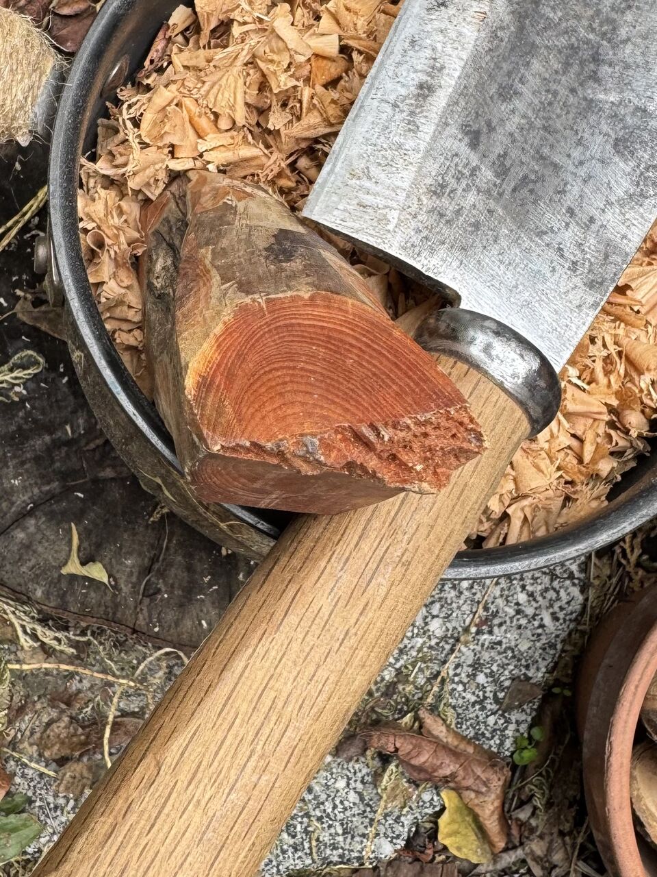 極上ファットウッド : プーさんの放浪記