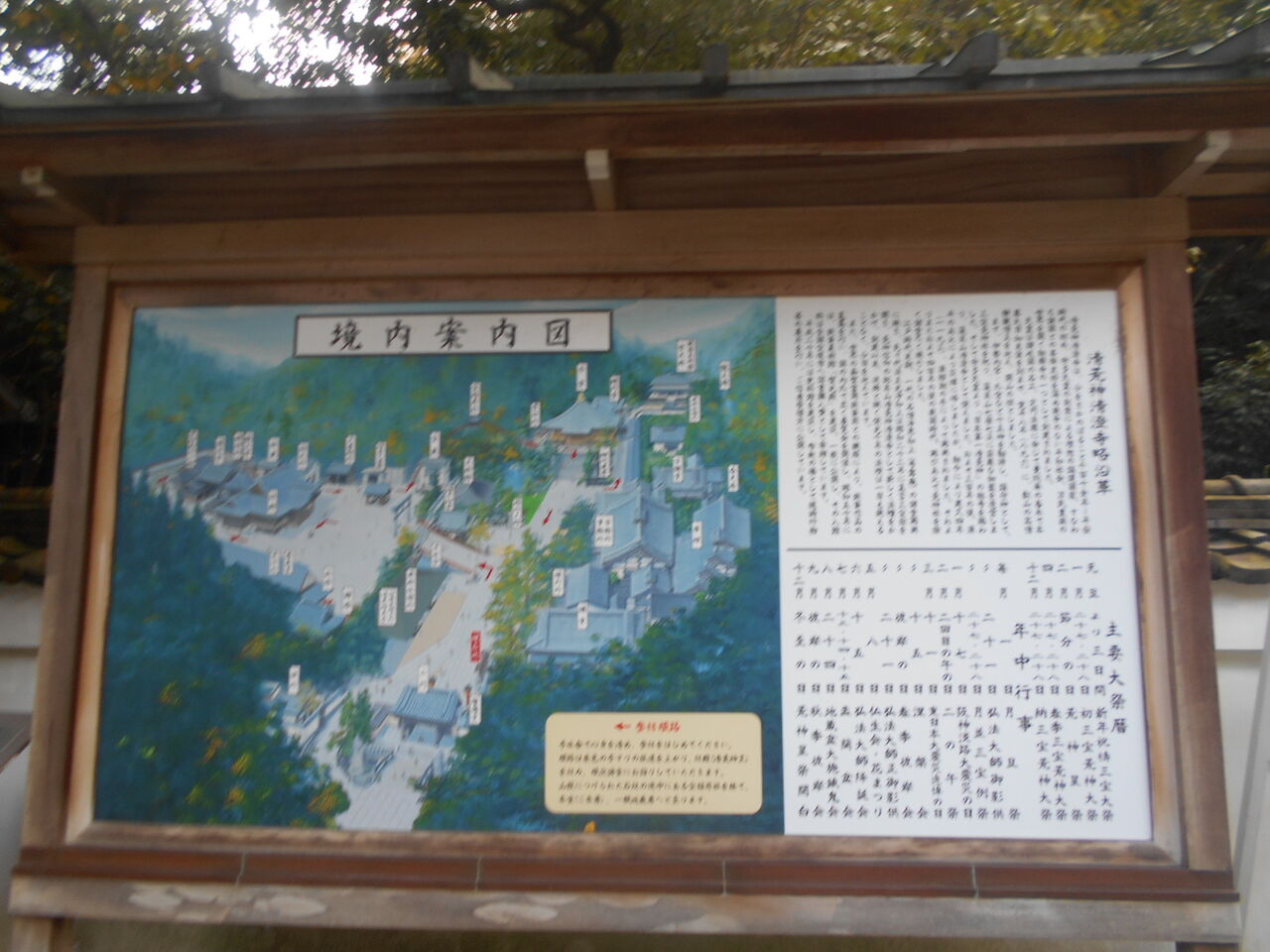 DSCN6239