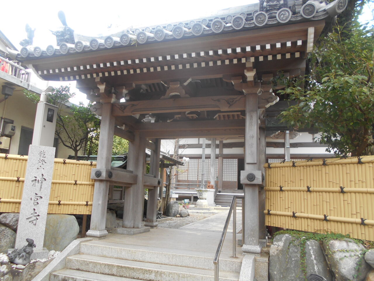 DSCN2601