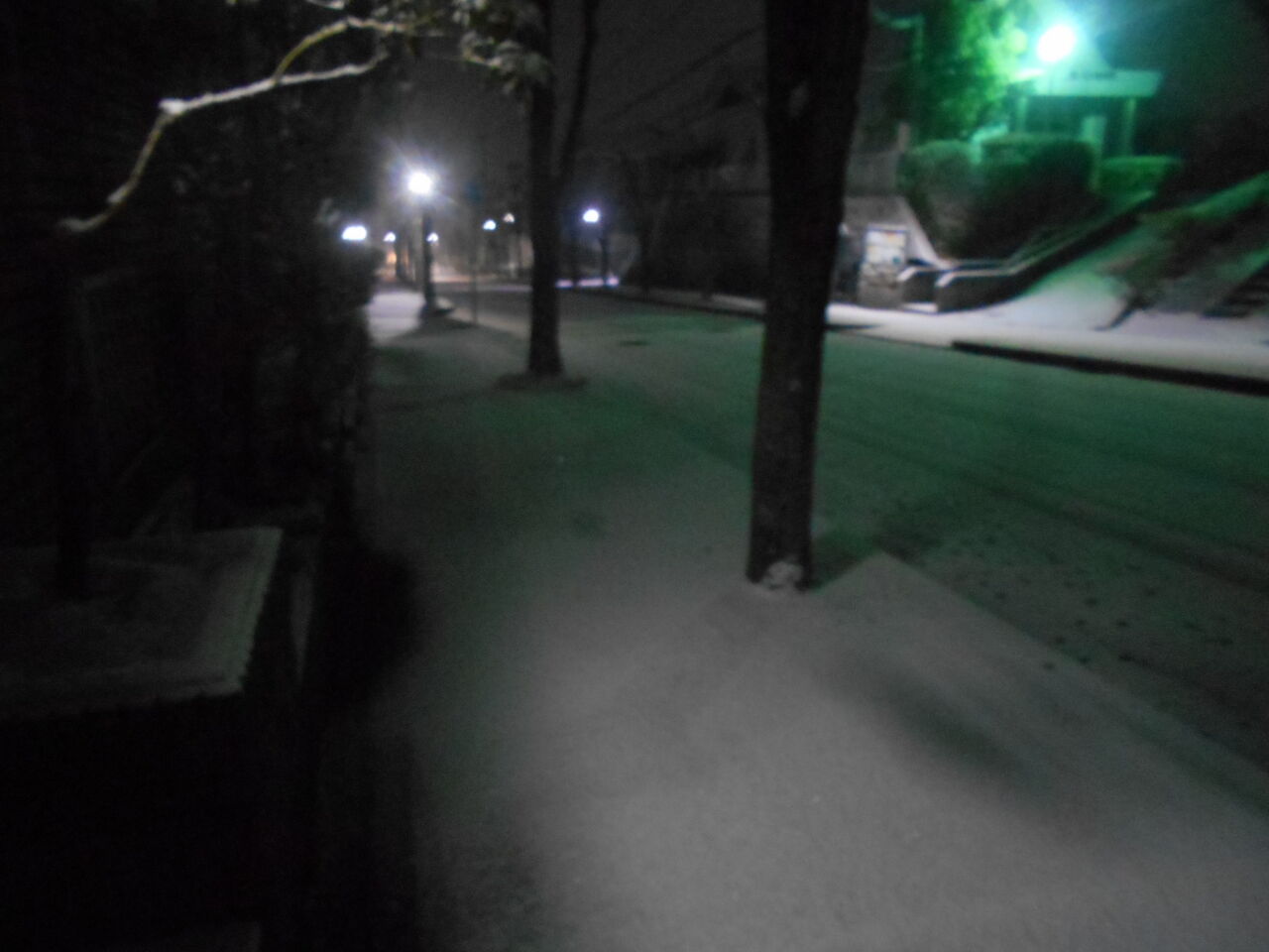 DSCN3515