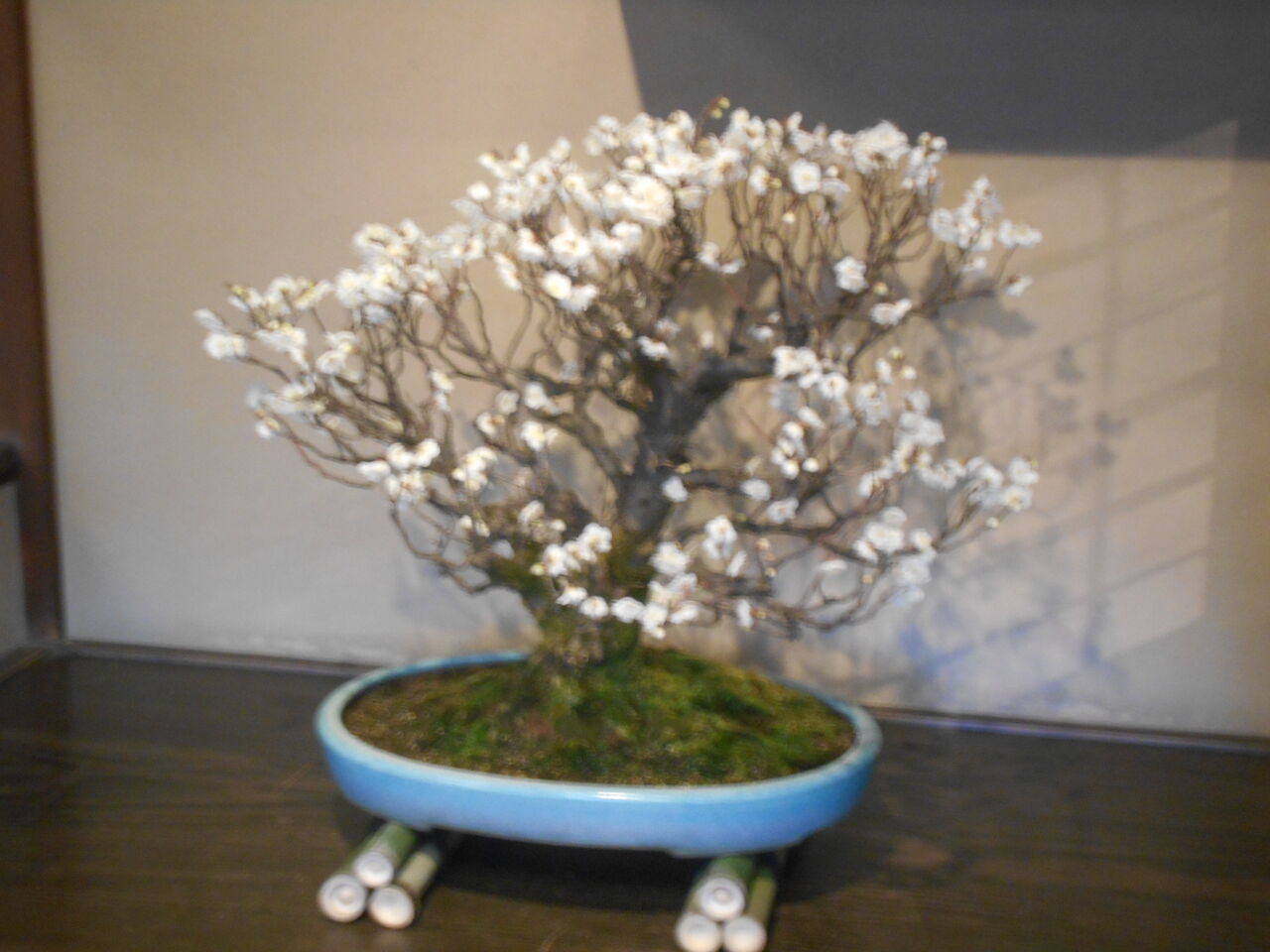 DSCN0771