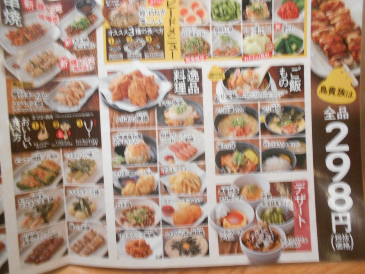 DSCN2994