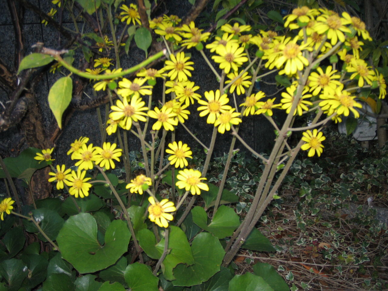 �����β֣�