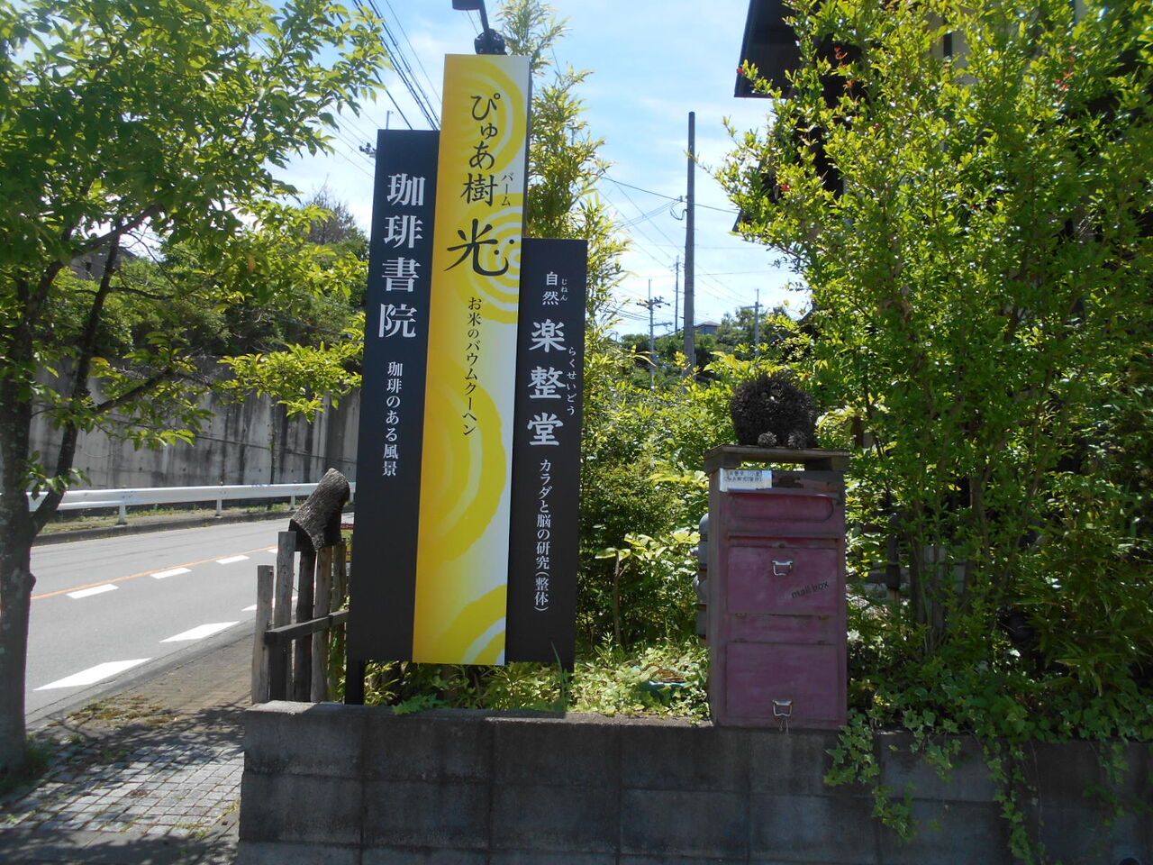 DSCN8924