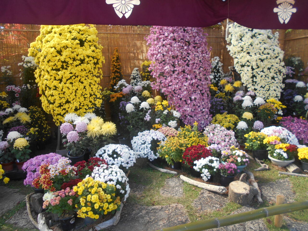 DSCN0367
