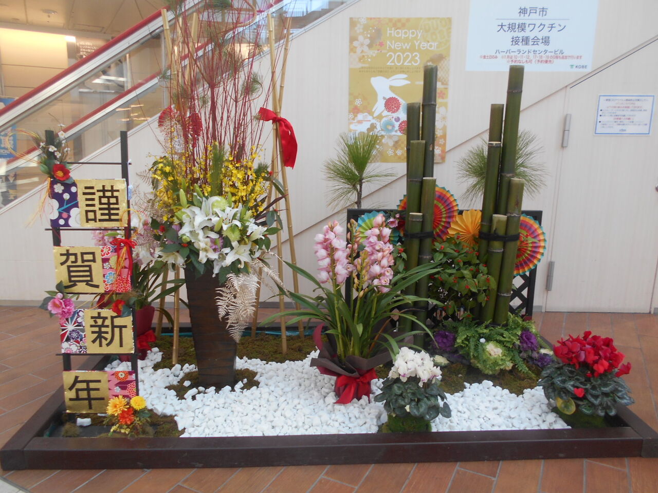 DSCN1447